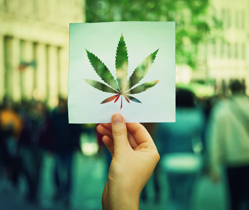 IL Marijuana Legalization: What Does It Mean for You?